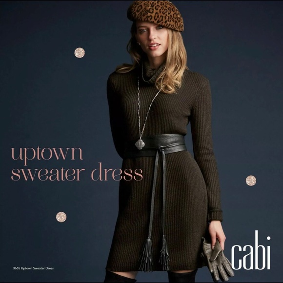 cabi uptown sweater dress